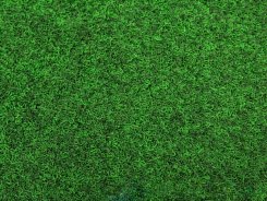 Kobercová tráva Green-VE 20 s nopy